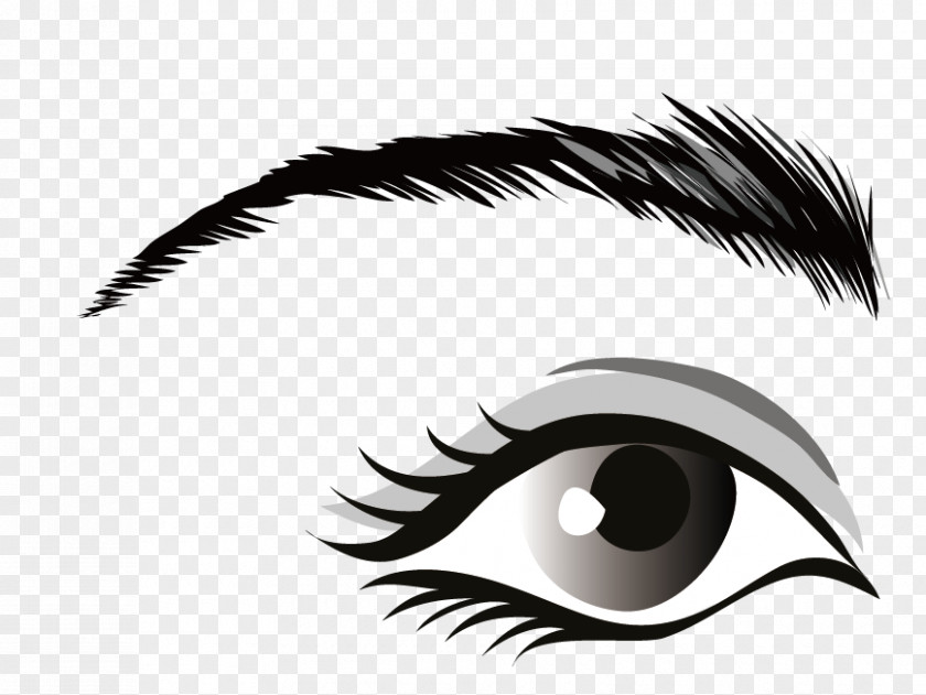 Vector Eyes Human Eye Clip Art PNG