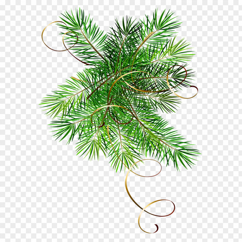 Fir-tree Christmas New Year Tree Blog Holiday Clip Art PNG