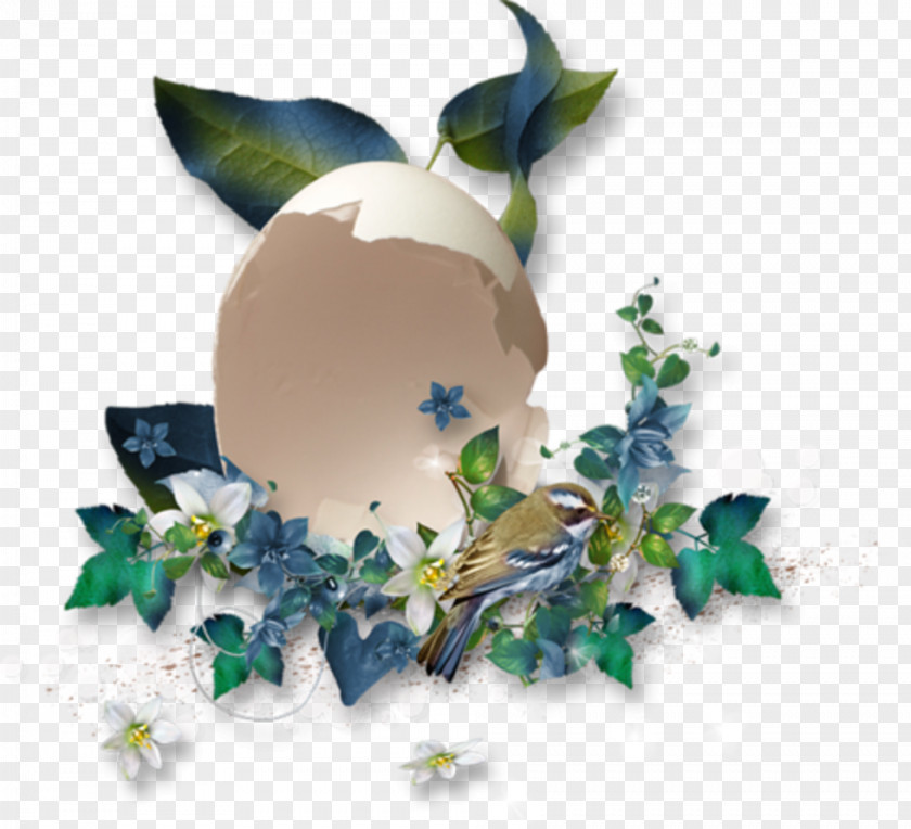 Youth Day Border Eggshell Goblin Flower Image Blog Coquilles PNG