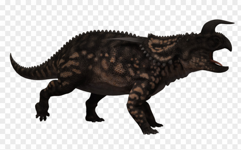 Animal Claws Einiosaurus Ceratopsia Drawing PNG