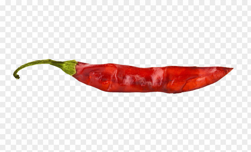 Chili Pepper Red Capsicum PNG