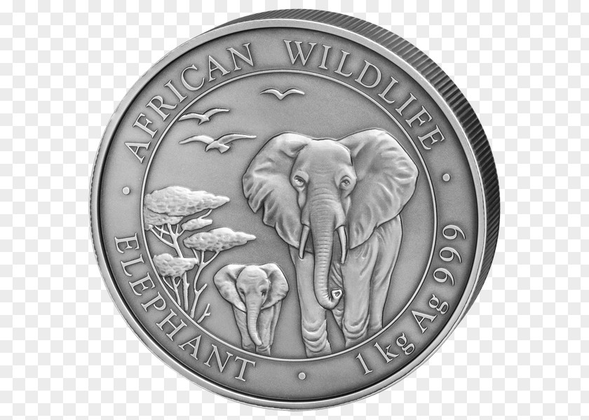 Coin Silver African Elephant Indian PNG