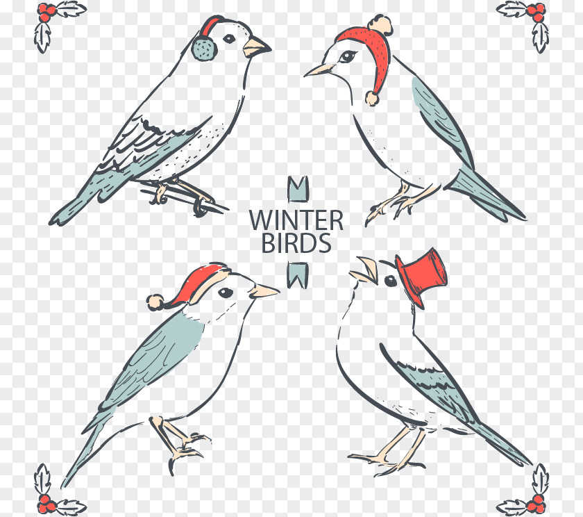 Hand-painted Birds Winter Finch Bird Drawing Feather PNG