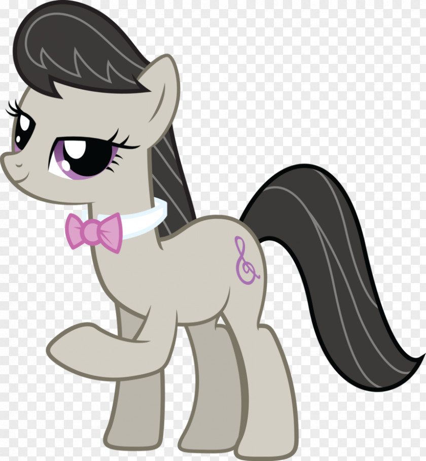 Octavia's Pony Rainbow Dash Derpy Hooves Pinkie Pie PNG