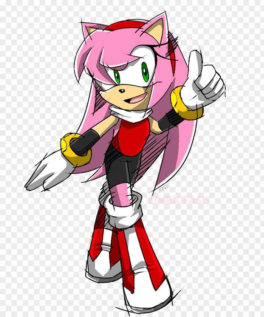 Sonic The Hedgehog Amy Rose Blaze Cat Image Drawing PNG