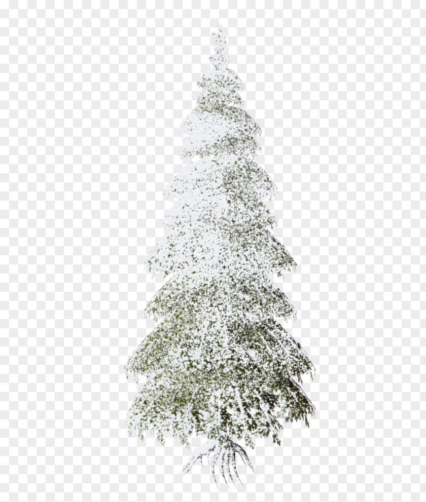 Christmas Tree Ornament Ded Moroz PNG