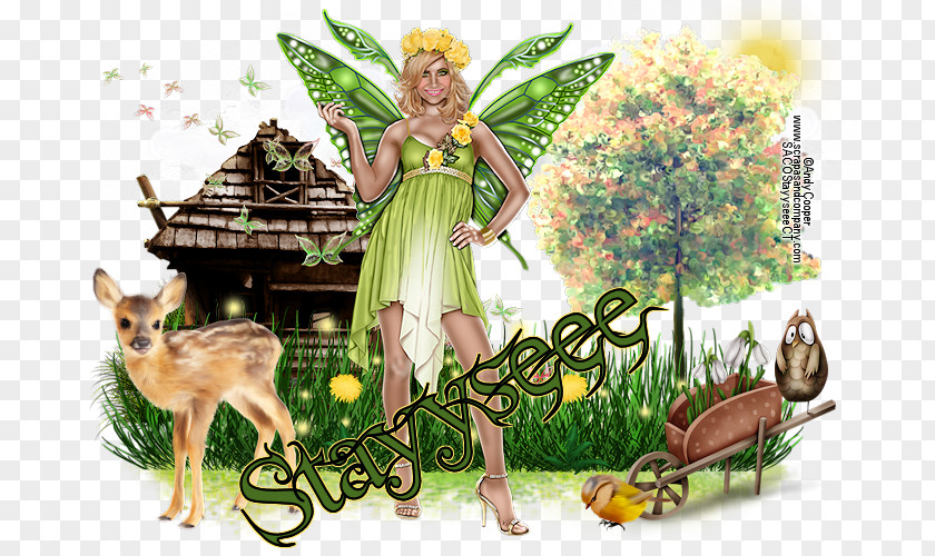 Fairy Tree Fauna Cartoon PNG
