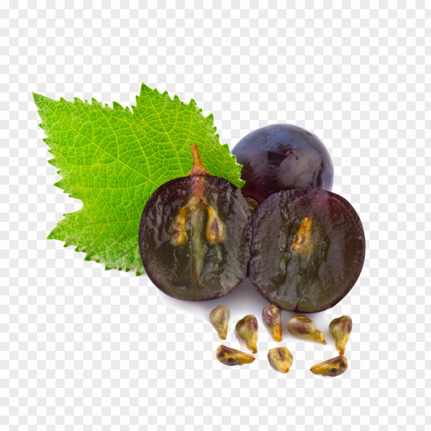Grapes Grape Seed Oil Skin Care Extract PNG