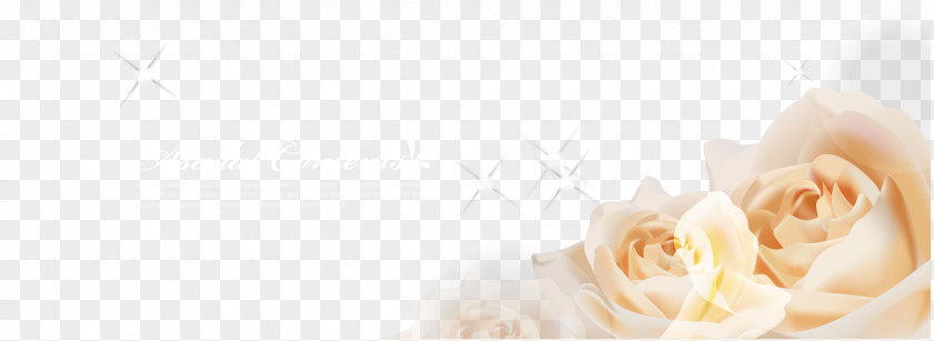 Vector Yellow Rose Dream Shading Garden Roses Desktop Wallpaper Floral Design Petal PNG