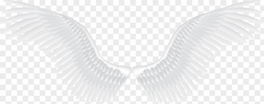 White Angel Wings Black And Structure Pattern PNG
