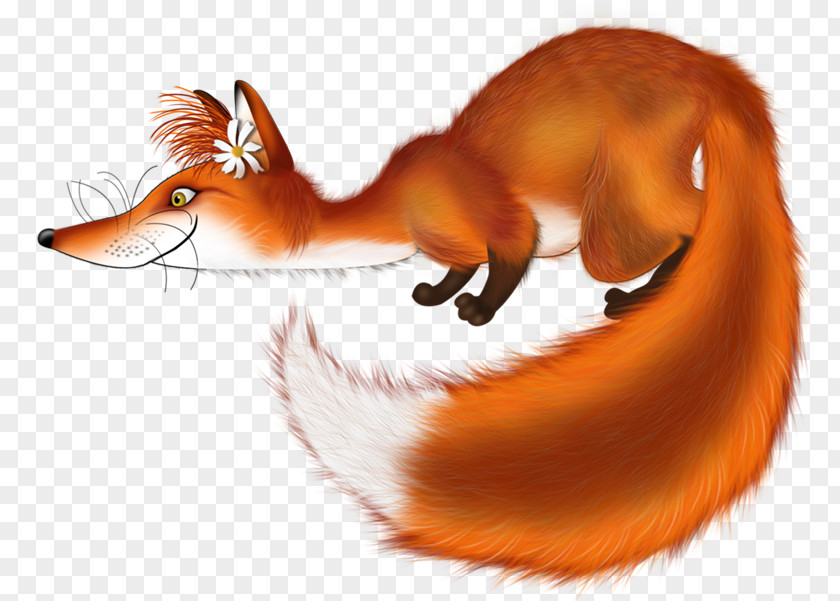 Zorro Red Fox Clip Art PNG