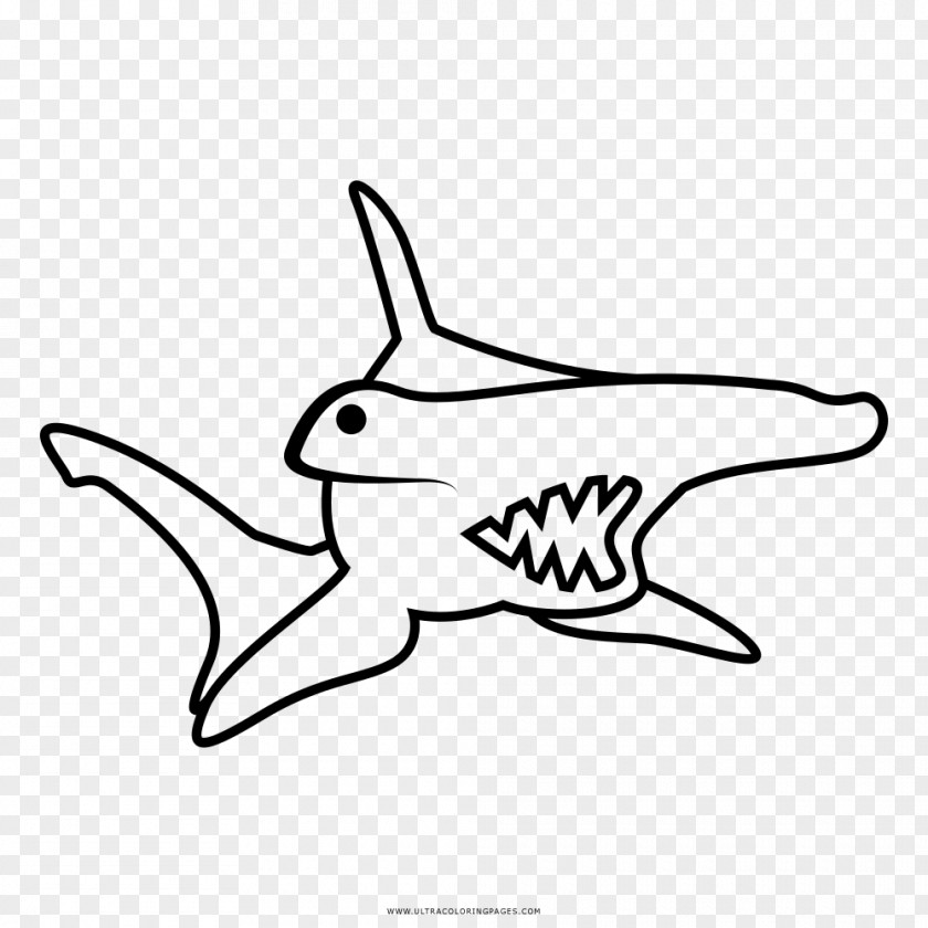 Dibujo Tiburon Martillo Shark Great Hammerhead Drawing Coloring Book PNG