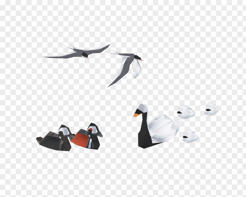 Duck Goose Shoe PNG