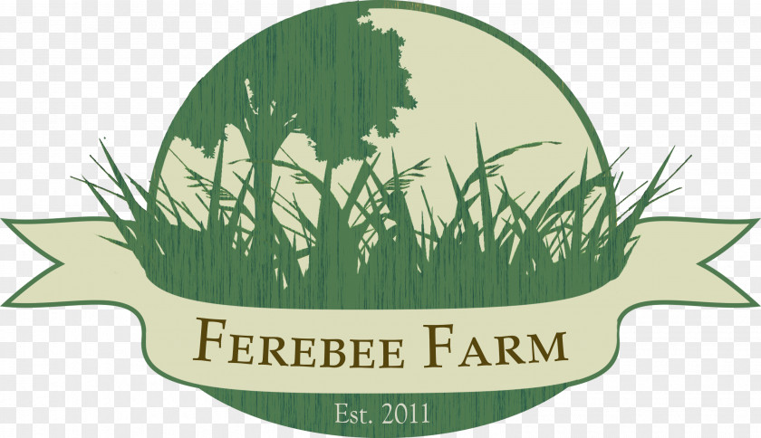 Goat Ferebee Farm Pastured Poultry Sheep PNG