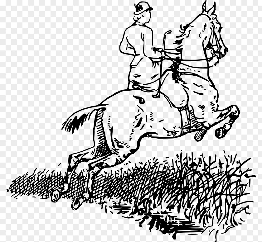 Horse Rider Equestrian Vaulting Shire Riding Clip Art PNG