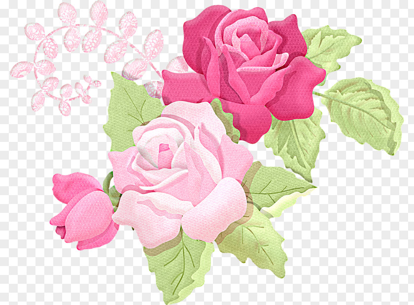 Rose Clip Art Flower Image PNG