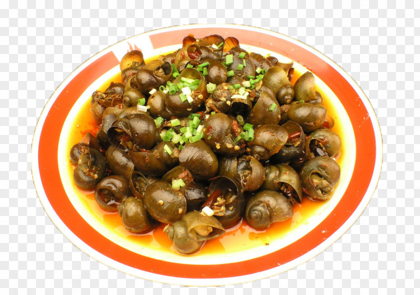 Spicy Onion Fried Snail Escargot Download Icon PNG