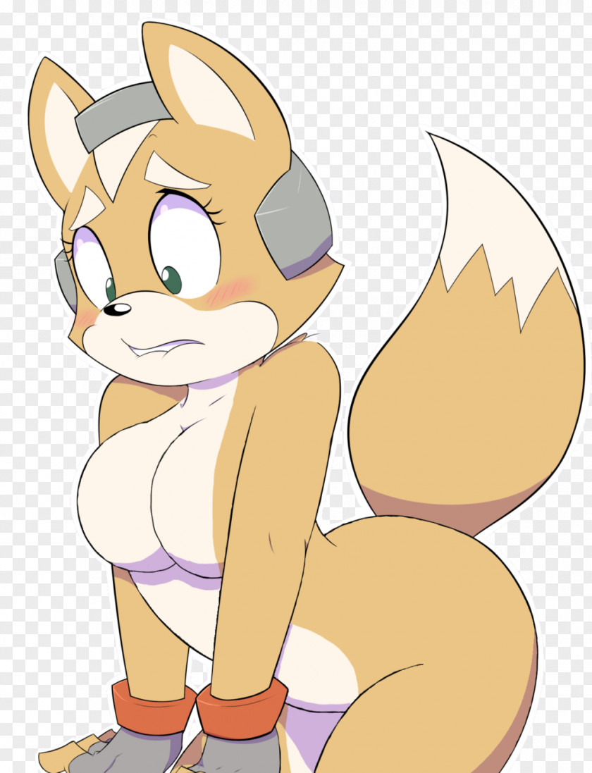 Star Fox Zero Cat McCloud PNG
