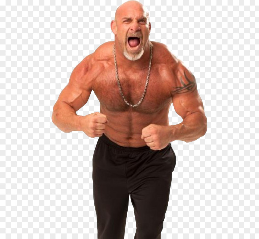 Bill Goldberg Image High-definition Video Wallpaper PNG