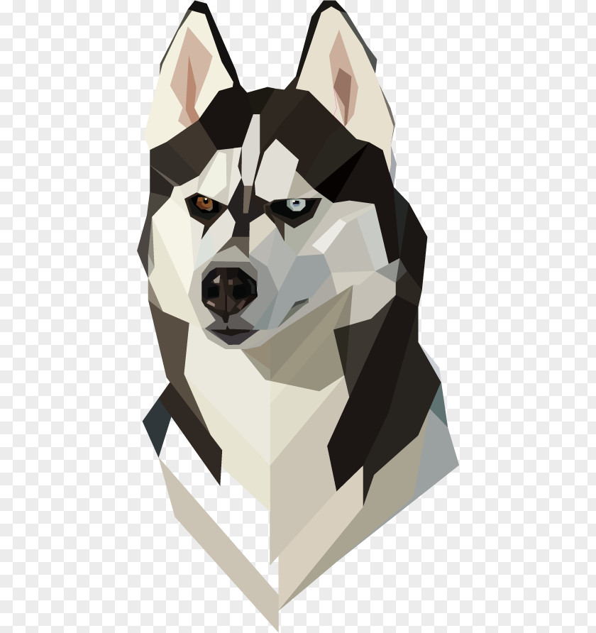 Dog Husky Siberian IPhone 6S Alaskan Malamute PNG