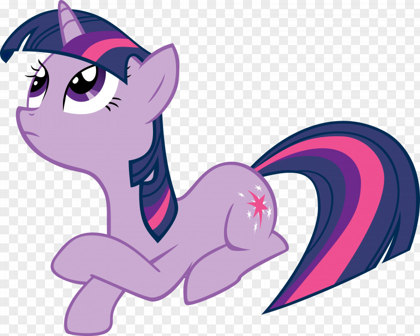 Twilight Sparkle Rarity Pony Horse Cat PNG