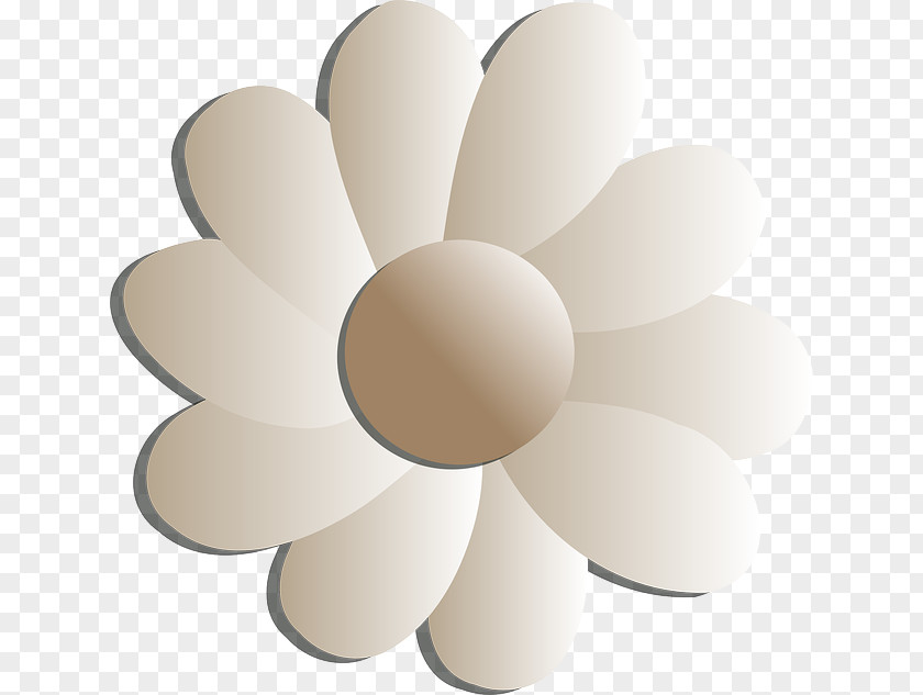 White Flowers Flower Line Art Black And Clip PNG