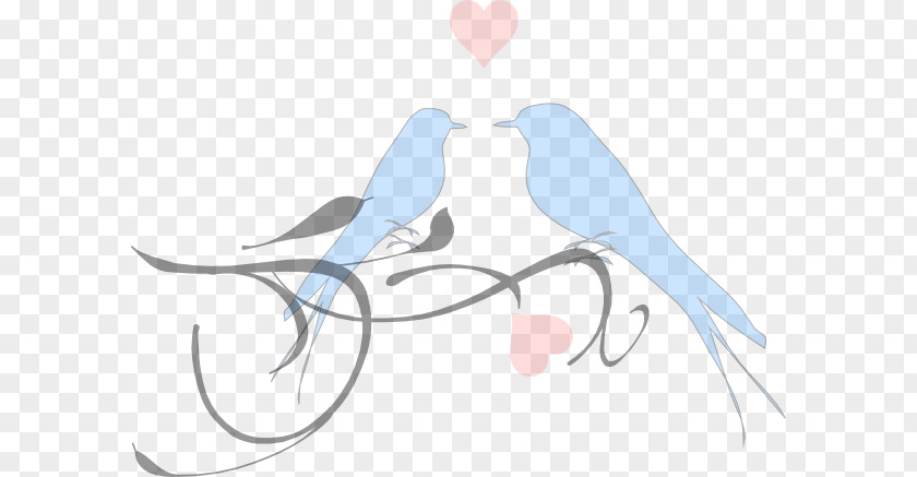 Blue Branch Lovebird Wedding Invitation Clip Art PNG