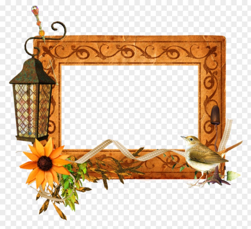 Flower Picture Frames Rectangle PNG