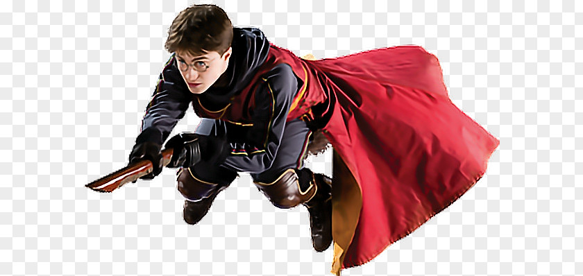 Harry Potter Potter: Quidditch World Cup And The Prisoner Of Azkaban Philosopher's Stone Lord Voldemort PNG