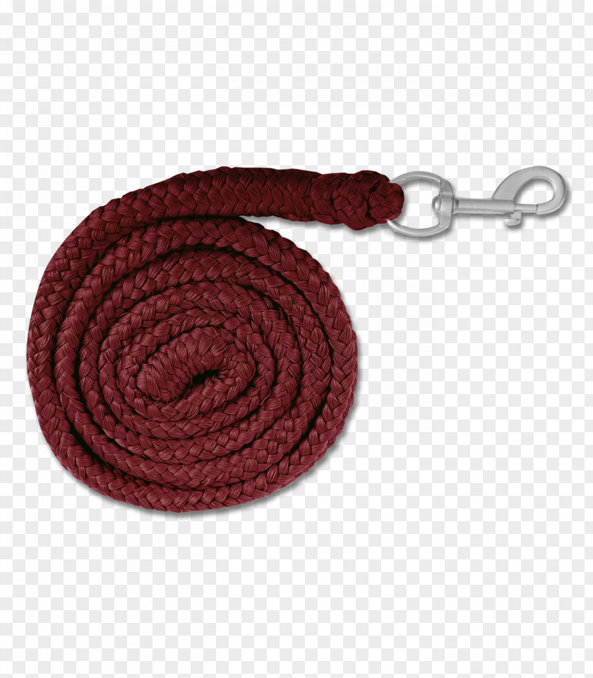 Horse Lead Halter Equestrian Carabiner PNG