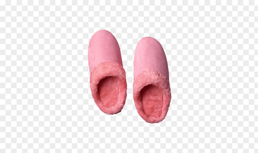 Slipper Shoe PNG