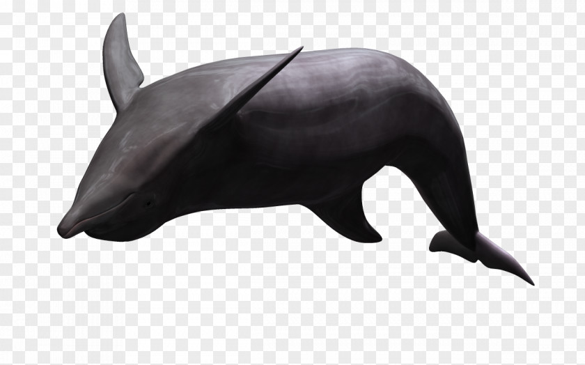 3d Cartoon Animals Benthic Fauna Dolphin Animal Animation PNG
