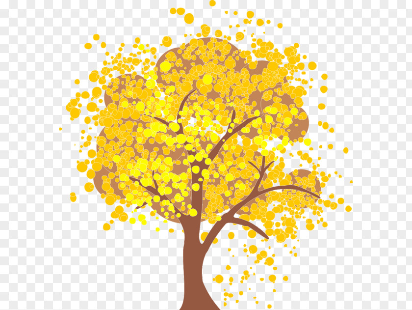 Autumn Leaf Color Tree Maple PNG