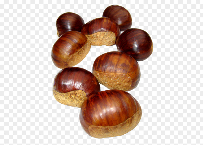 Chestnuts Sweet Chestnut Auglis Food PNG