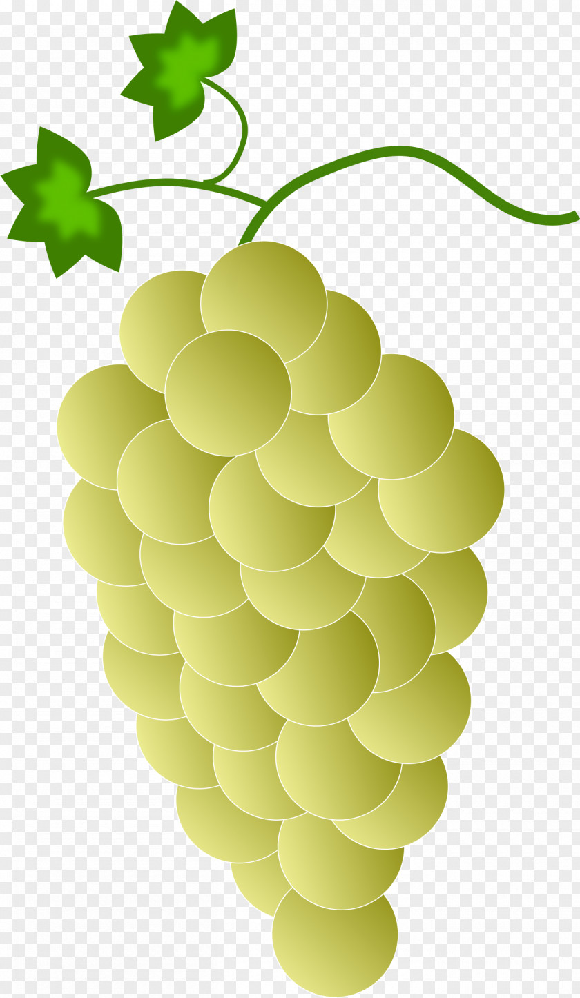 Grape Leaves Common Vine Wine Purple Clip Art PNG