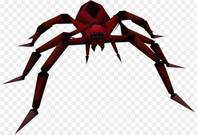 Spider Redback Sydney Funnel-web Australian Clip Art PNG