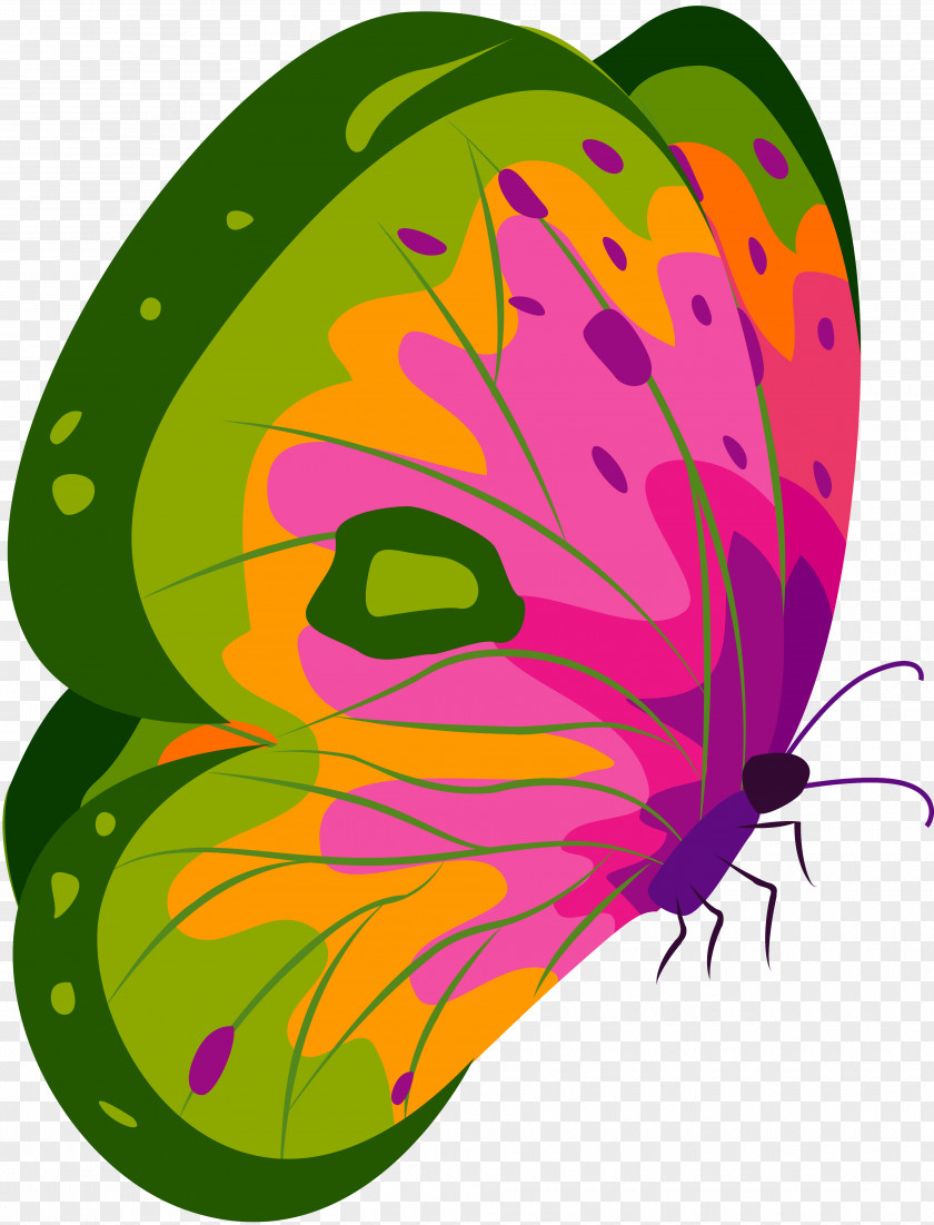 Vector Butterfly Monarch Nymphalidae Clip Art PNG