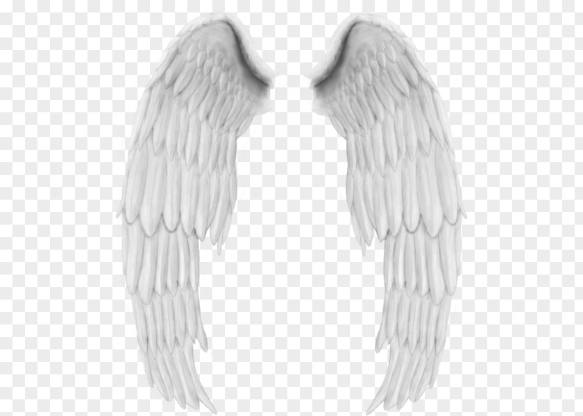 White Wings Drawing PNG