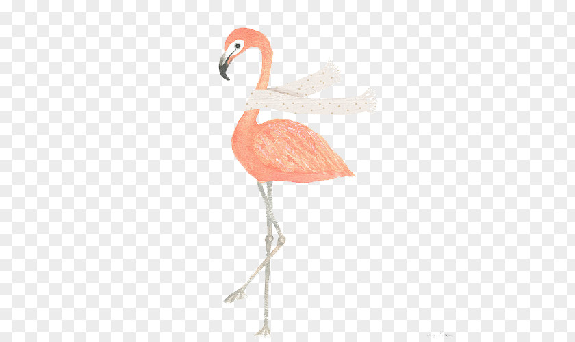 Bird Water Paper Greater Flamingo Watercolor Painting PNG