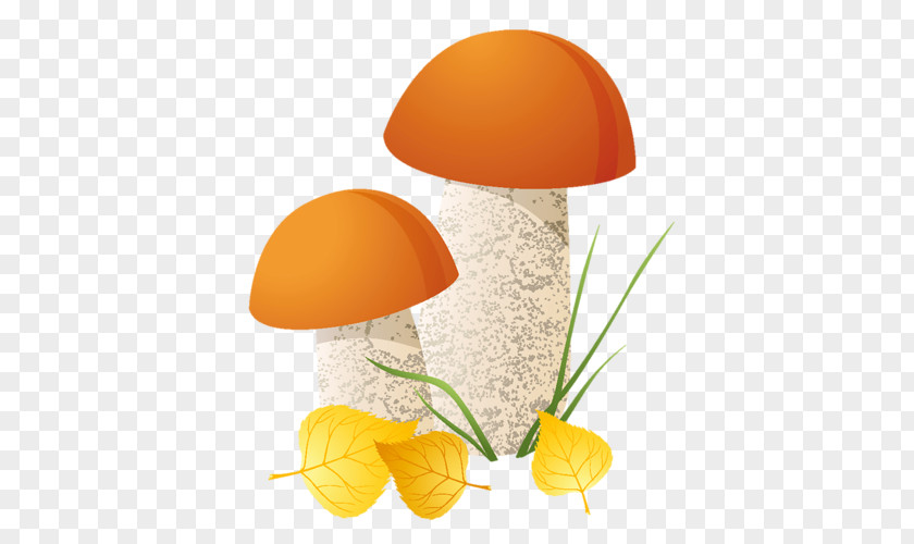 Cartoon Mushrooms Mushroom Shiitake PNG