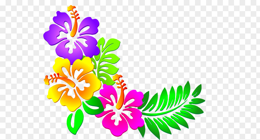 Hawaii Graphics Cuisine Of Flower Clip Art PNG