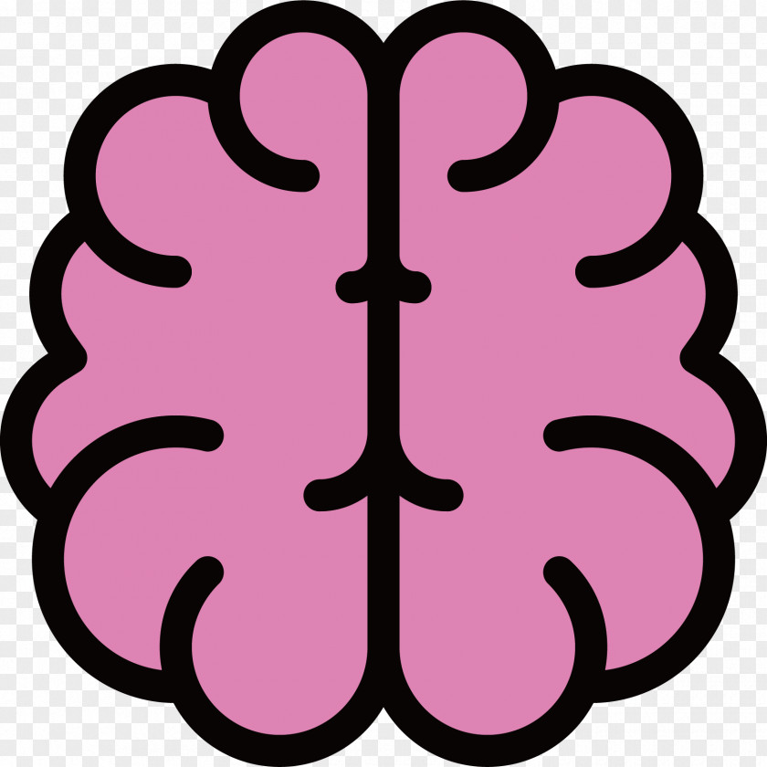 Human Brain Outline Of The Icon PNG