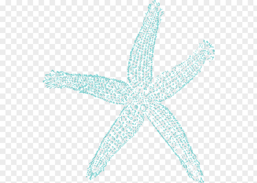 Beach Cliparts Borders Starfish Turquoise Pattern PNG