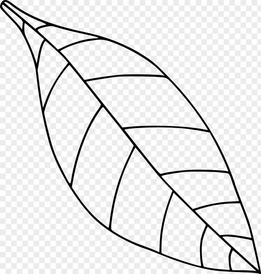 Black Leaf Tree Drawing Clip Art PNG