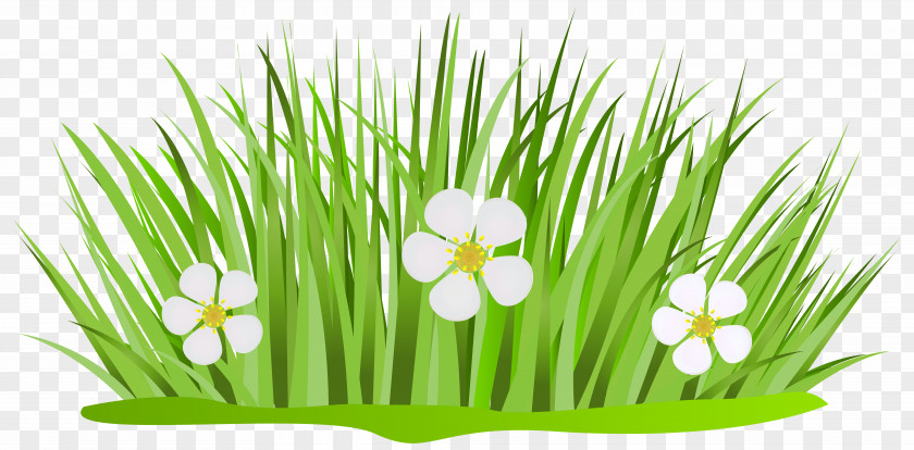 Flower Grass Cliparts Free Content Clip Art PNG