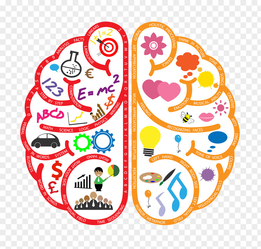 Hand Handedness Lateralization Of Brain Function Left-handed International Lefthanders Day PNG