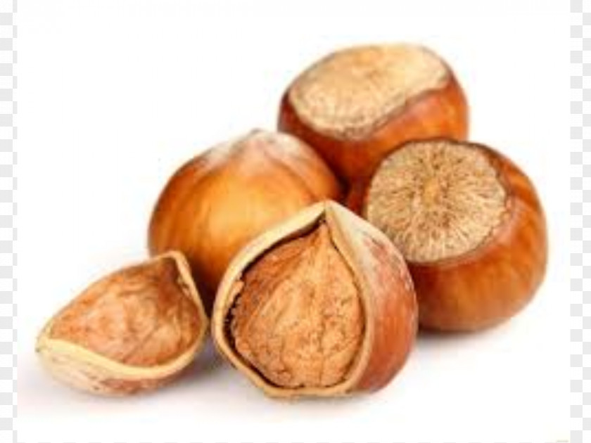 Nut Hazelnut Grape Seed Oil Filbert PNG