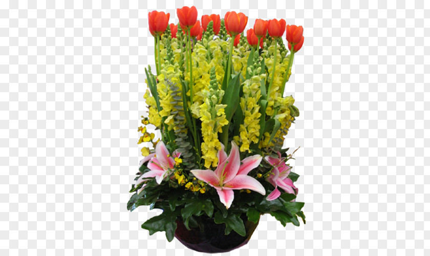 Orange With Yellow Tulips Floral Design Tulip Flower Bouquet PNG