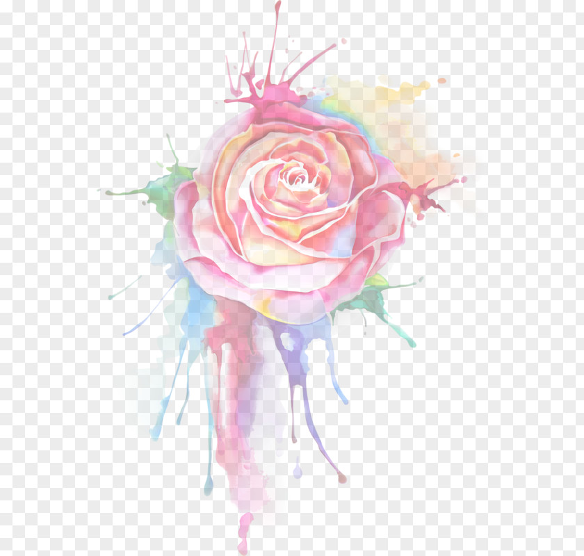 Painting Garden Roses Floral Design Watercolor Drawing PNG