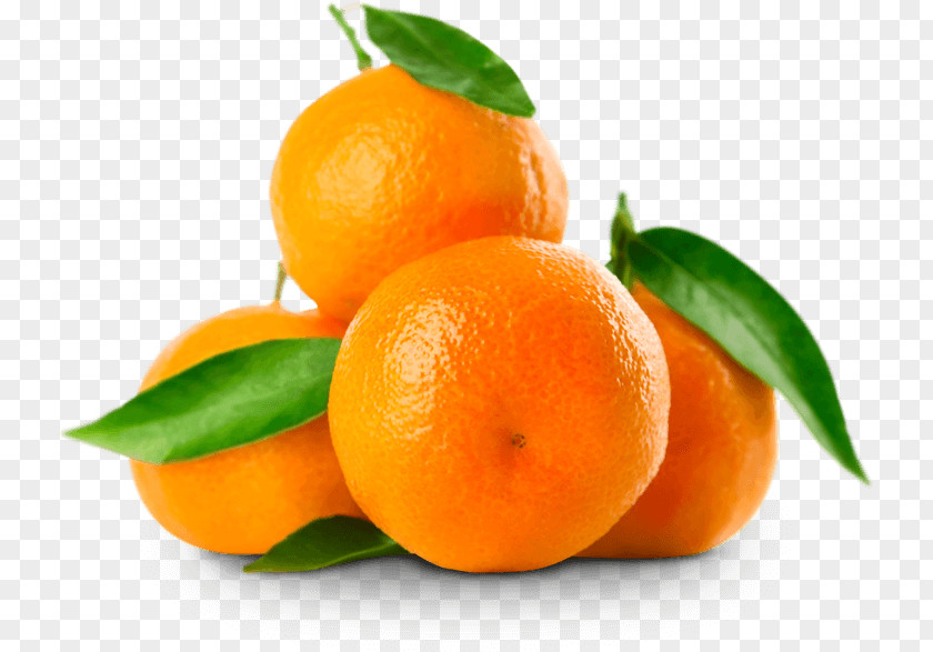 Tangerine Mandarin Orange Clementine Tangelo Fruit PNG